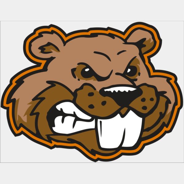 AR BEAVER 11 RC Thumbnail