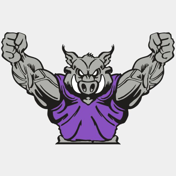 AR RAZORBACK 10 RC Thumbnail