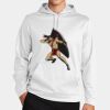 Sport Wick ® Fleece Hooded Pullover Thumbnail